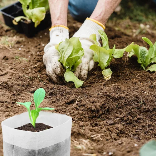 Miniatura 3 de 100 bolsas de cultivo para vivero, 5.8 x 5 pulgadas, bolsa de cultivo de plántulas de tela no tejida para plantas, macetas de tela, papa, flores