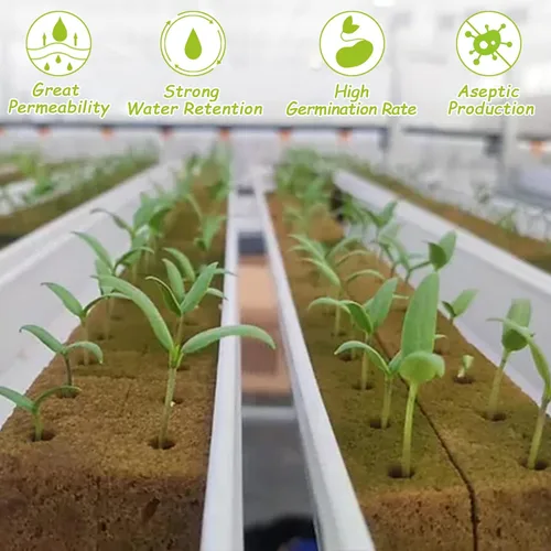 Miniatura 5 de Legigo Cubos de lana de roca de 1.2 pulgadas para hidroponía, cubos de cultivo para plantación de lana de roca para torre hidropónica, jardín, 2