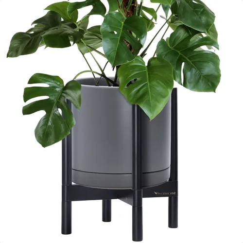 Miniatura 64 de D'vine Dev Maceta de cerámica con soporte de ébano – Maceta redonda moderna de 8 pulgadas con soporte para maceta de madera, color negro, 55-B-M-2