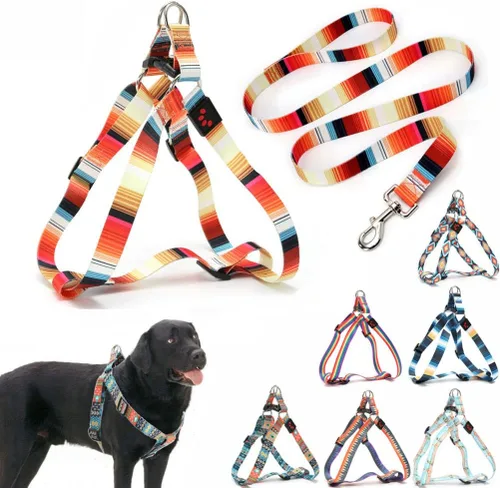 Miniatura 6 de Juego de arnés y correa para perro, bonito patrón sin tirones, chaleco halter para cachorros, para exteriores, fácil caminar para razas pequeñas