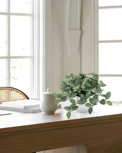 Miniatura 5 de Hollyone Plantas falsas, 2 paquetes de plantas artificiales de interior con maceta de plástico blanco, pequeña planta falsa en maceta para el hogar