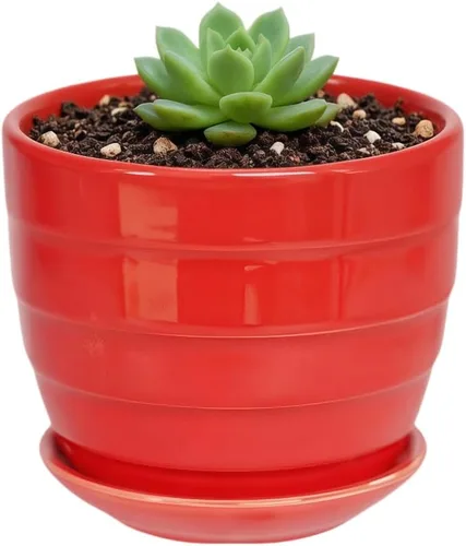 Miniatura 16 de Bonita maceta circular de cerámica para decoración del hogar y jardín, suculentas, cactus, maceta no incluida (azul, 3.19 pulgadas)
