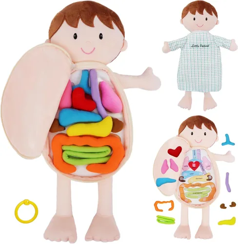 Miniatura 11 de June Garden Dressy Friends Belle de 15.5 pulgadas, muñeca de peluche educativa para niños y niños pequeños de 2 años en adelante, juguete suave