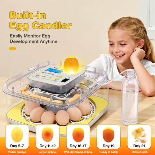 Miniatura 4 de Incubadora para incubar huevos, capacidad de 12 huevos, humidificación automática recién actualizada 2026, control de temperatura y humedad, Amarillo