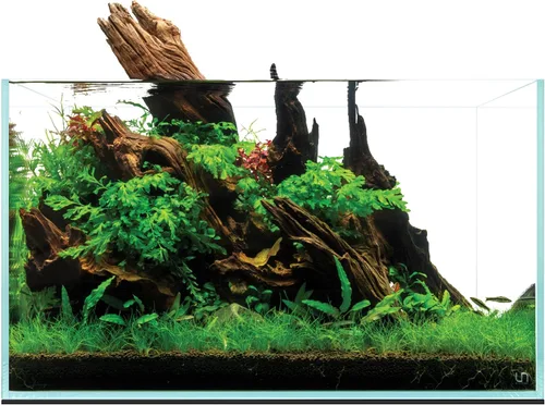 Miniatura 16 de UNS Acuario Ultra Claro Sin Borde - 25.6GAL 97.2L - 23.62x14.17x17.71 60x36x45 CM, Grosor de Vidrio de 6mm, Incluye Alfombrilla Nivelante