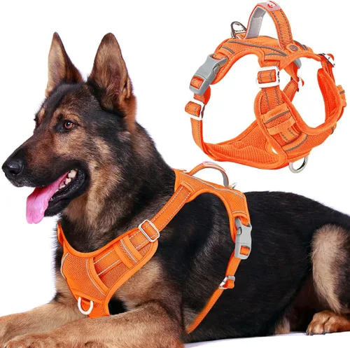 Miniatura 10 de BARKBAY Arnés para perro sin tirones con bolsillo para etiqueta de identificación, resistente, reflectante, fácil control para perros grandes