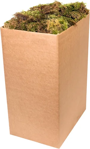 Miniatura 12 de SuperMoss Musgo forestal preservado perfecto para plantas de interior, manualidades y decoración, verde fresco, 4 onzas