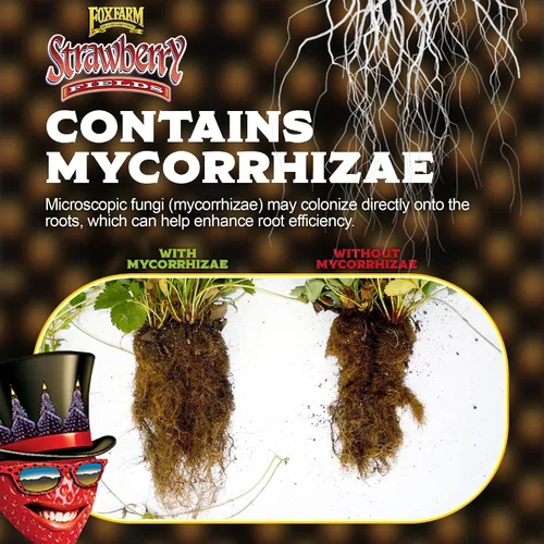 Miniatura 2 de FoxFarm Strawberry Fields Tierra para Macetas de Fructificación y Floración, 1.5 pies cúbicos - Usar para Aumentar las Flores, Frutos y Bayas