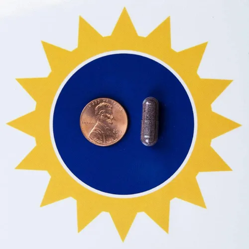 Miniatura 2 de Rejuvenation Therapeutics Extracto orgánico de arándanos – Potente antioxidante para apoyo a la salud cerebral – Vegano, sin gluten, sin arroz, sin