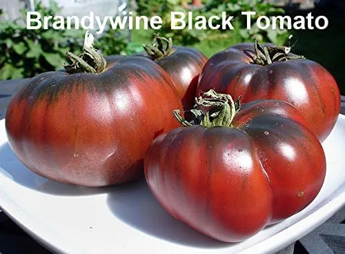 Miniatura 4 de Mixed Seeds - 30 semillas de tomate negro, mezcla de 9 variedades, reliquia sin OMG, Black Prince, Cherokee Purple, Black Cherry de EE. UU. Solanum