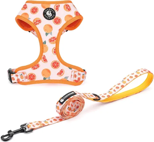 Miniatura 15 de Juego de arnés ajustable y correa para perro hembra de malla de aire, arnés de chaleco para perro, correa de entrenamiento para perros de 5 pies