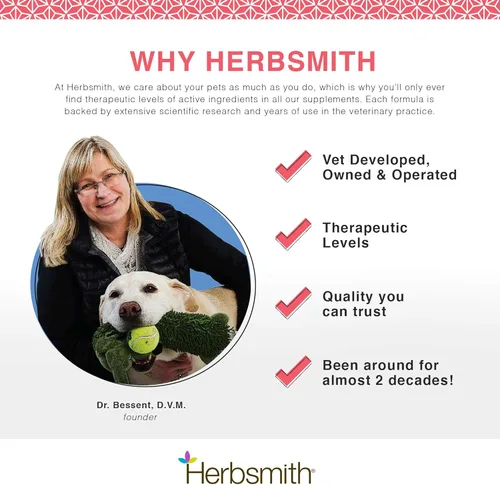 Miniatura 7 de Herbsmith Senior Dog Wisdom – Suplemento de demencia para perros – DHA para la salud cerebral del perro mayor – Suplemento para perros mayores