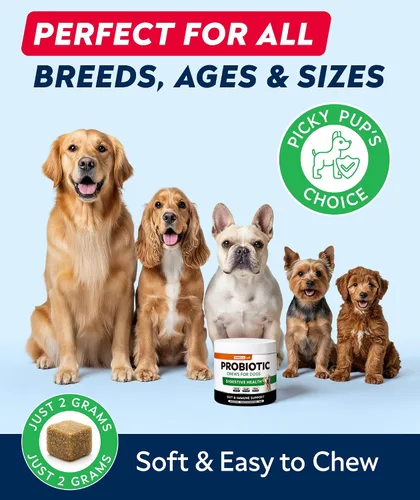 Miniatura 4 de Probióticos para perros para la salud digestiva y enzimas – Diarrea, gases, alivio del malestar estomacal y alergias de temporada – Probióticos