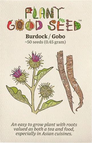 Plant Good Seed Semillas orgánicas de raíz de bardana para plantar: hierba rica en nutrientes, hojas verdes grandes - Paquete de 50 semillas