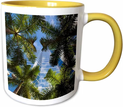 Miniatura 11 de 3dRose Estados Unidos, Florida, Miami, Brickell Avenue, edificios de gran altura. Taza negra de dos tonos de 11 oz Negro