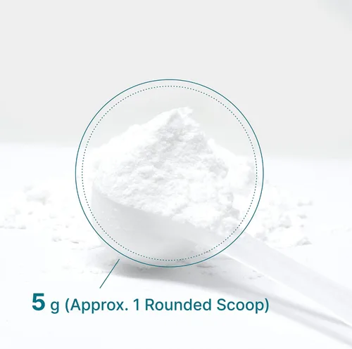 Miniatura 6 de DEAL SUPPLEMENT Polvo de Monohidrato de Creatina Instantánea, 5g Por Porción – 60 Porciones Fórmula Micronizada, Sin Sabor, de Absorción Rápida