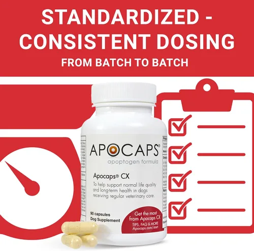 Miniatura 7 de apocaps CX apoptogen Fórmula para perros (90 Cápsulas), paquete de de 1