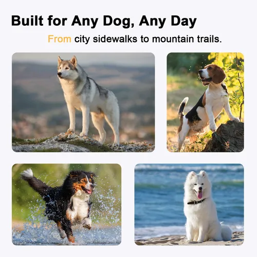 Miniatura 7 de Arnés para perro sin tirones con acolchado de malla transpirable, tiras reflectantes, diseño a prueba de escapes, ajuste rápido para entrenar