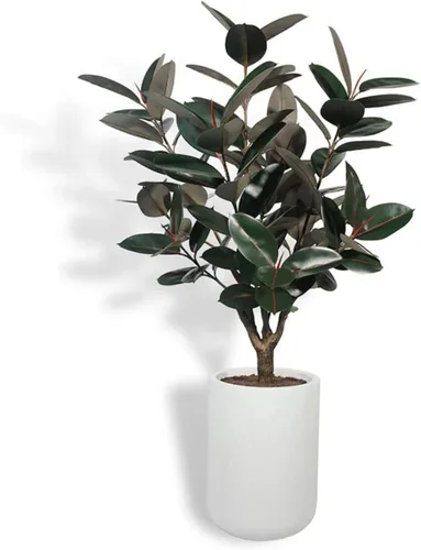 Miniatura 19 de CG Hunter Árbol de filodendro sintético, soporte de árbol artificial de alta calidad para interiores, 3 pies de alto, hojas realistas y tronco