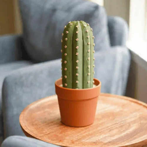 Miniatura 5 de Cactichess - Juego de ajedrez de cactus enrollable avanzado, tablero de ajedrez con temática de cactus, juego de ajedrez portátil impreso en 3D