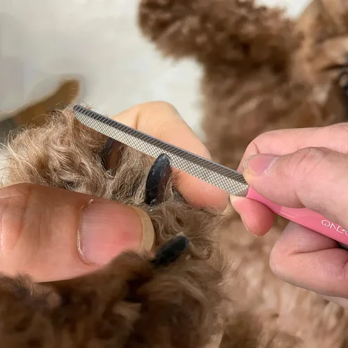 Miniatura 8 de Cortaúñas pequeñas de 4.7 pulgadas para perros y gatos, de acero inoxidable, para conejos, cobayas, pájaros, cachorros, gatitos y animales pequeños
