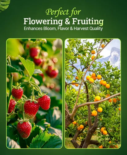 Miniatura 5 de FoxFarm Bushdoctor Bembé concentrado, fertilizante líquido de acción rápida para plantas, mejora los azúcares naturales para la dulzura y el sabor