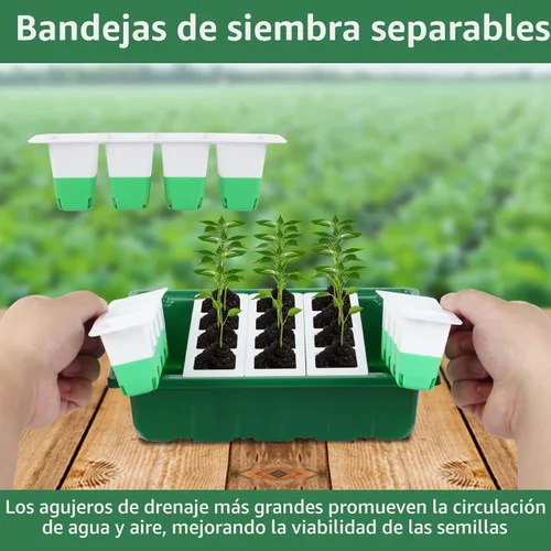 Miniatura 3 de Sondiko Bandeja de inicio de semillas con celdas de silicona suave, 80 celdas de bandejas de plántulas, kit de inicio de semillas, paquete de 4
