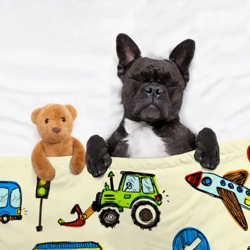 Miniatura 4 de Sumedha Manta de auto de dibujos animados, regalo de dibujos animados para niñas y niños, extra pequeña de 40 x 30 pulgadas para mascotas, franela
