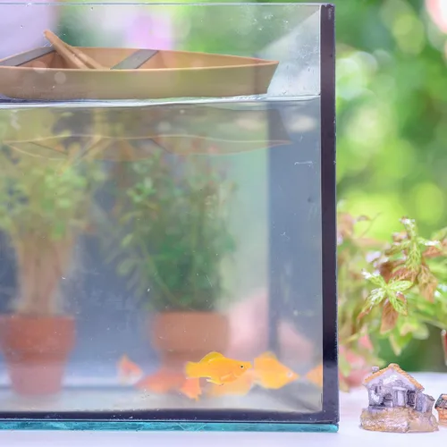 Miniatura 3 de Chatelet Bote de juguete flotante decorativo para acuarios Bote de remos para acuarios Decoración de barco de acuario de camarones o caracol