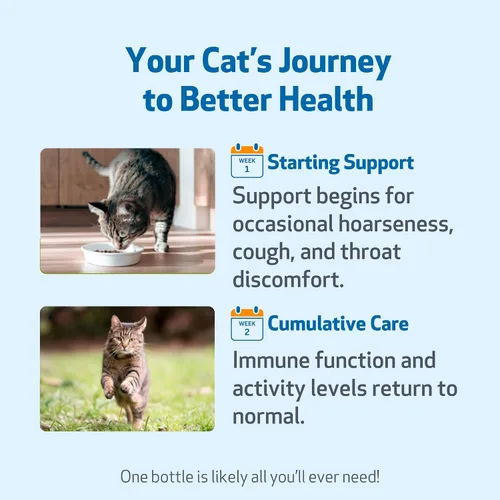 Miniatura 9 de Pet Wellbeing Garganta dorada para gatos – Apoyo respiratorio para gatos, tos ocasional y ronquera con gordolobo y olmo resbaladizo – Certificado