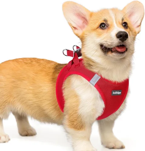 Miniatura 124 de rabbitgoo Arnés para perro pequeño, chaleco de malla suave para cachorros con hebilla de seguridad, arnés reflectante transpirable para mascotas