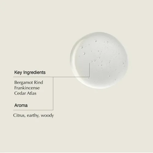 Miniatura 3 de Aesop Champú Suaviza el cabello, restaura el brillo Corteza de Bergamota, Incienso, Cedro Atlas 16.9 oz / 500 mL