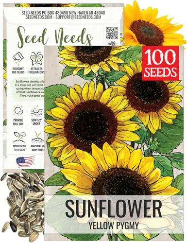 Miniatura 75 de Seed Needs Semillas de girasol para plantar girasoles de manchas solares enanas, semillas de flores de corte anual de polinización abierta