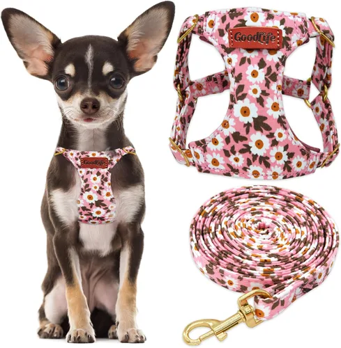 Miniatura 11 de OaaXbbECco Arnés suave y ajustable para cachorro, arnés suave y ajustable para perro y correa para perro, sin estrangulamiento, a prueba de escape