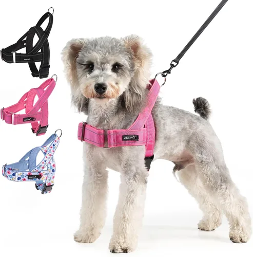 Miniatura 11 de KOOLTAIL Arnés sin tirones para perro pequeño, con acolchado suave y asa, arnés de chaleco para cachorro fácil de caminar, cuello y pecho, Negro