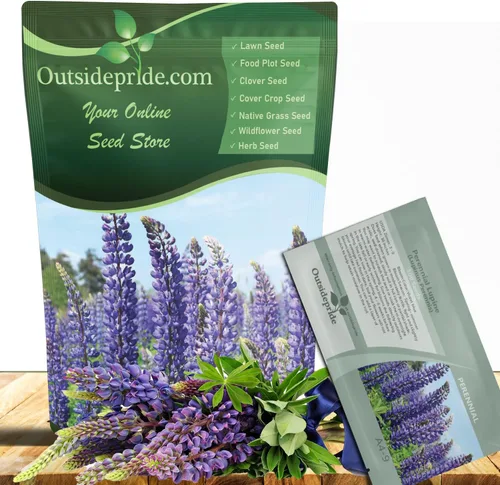 Outsidepride Semillas de altramuces perennes de color azul silvestre, 1 libra. Semillas de flores silvestres autosembradas, resistentes al frío y