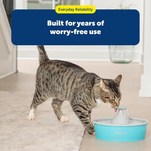 Miniatura 7 de PetSafe Fuente de agua Butterfly Cat con bomba y filtros, bonito dispensador de agua con capacidad de 50 onzas, bomba y filtros mantienen el agua