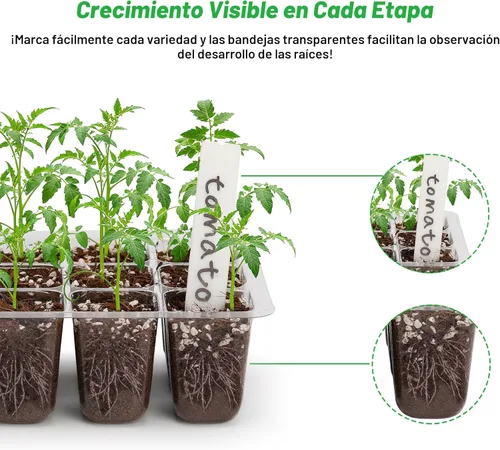 Miniatura 4 de Bonviee Paquete de 5 bandejas de inicio de semillas, kit de iniciación de plantas con cúpula de humedad ajustable y base de invernadero