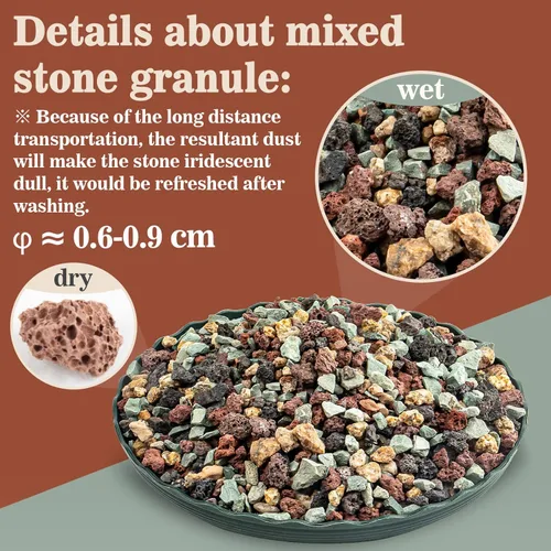 Miniatura 2 de Sukh Suelo de gránulos para suculentas hortícolas de 1 libra, mezcla de bonsái, rocas de lava, cactus y suelo, enmienda de mezcla para macetas