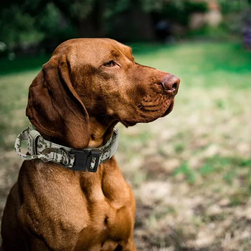 Miniatura 6 de Collar táctico para perro, collar de entrenamiento militar ajustable de nailon para perro con mango de control y hebilla de metal pesado de Marrón