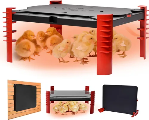 Placa calefactora para pollos de 200 W, placa radiante ajustable 2 en 1 para pollitos y aves de corral, termostato inteligente, 16 x 12 pulgadas,