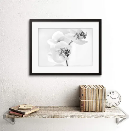 Miniatura 2 de FOTO NATURALEZA PLANTA ORQUIDEA FLOR NEGRO BLANCO MARCO IMPRESIÓN F12X4368