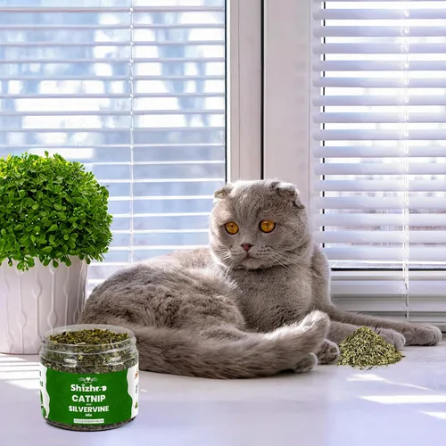 Miniatura 8 de Mezcla de vid plateada de hierba gatera para gatos y gatitos, fórmula no tóxica recién seca y de estimulación dual, neblina orgánica de vid plateada