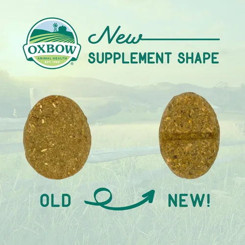 Miniatura 7 de Oxbow Natural Science Apoyo Digestivo, Suplemento Alto en Fibra para Conejo y Conejo de Indias, Hecho con Heno de Timothy, Incluye Raíz