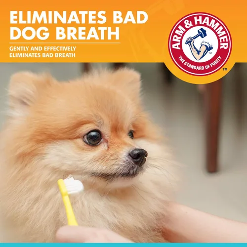 Miniatura 2 de Arm & Hammer Pasta de dientes enzimática de aliento fresco para perros, sabor a vainilla y jengibre, bicarbonato de sodio, gel dental que elimina
