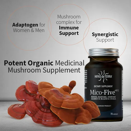 Miniatura 2 de HIFAS DA TERRA Mico-Five - Cápsulas complejas de hongos - Suplemento de apoyo inmunológico - Mezcla de extracto de Reishi, shiitake, maitake, chaga