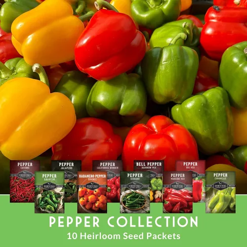 Miniatura 3 de 10 paquetes de semillas de pimiento para plantar Jalapeño, Serrano, Cayena, Bola, Habanero, Poblano y más – Colección de pimientos autóctonos