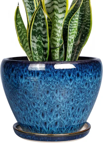 Miniatura 62 de Maceta de Cerámica Moderna con Esmalte para Suculentas con Agujero de Drenaje y Platillo, Maceta Redonda de 6 Pulgadas para Plantas de Flores