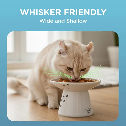 Miniatura 5 de Tazón elevado de comida para gatos Necoichi – Tazón elevado de cerámica para gatos para fatiga de bigotes y cuello, apto para lavavajillas