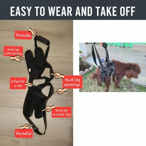 Miniatura 6 de Arnés de elevación para perros para patas traseras, soporte resistente para perros, soporte de cadera para caninos grandes y medianos, ayudante